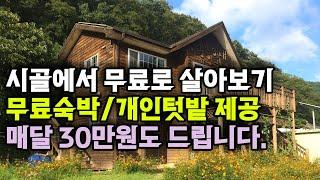 시골에서 무료로 살아보기,무료숙박/개인텃밭 제공,돈 30만원 받으면서 3달 살아보기,한달살기_돈없이 시골집 구하기. 시골살아보기,귀농귀촌,전원주택,전원생활,귀촌부부,청년농부