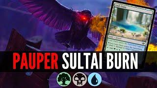 How YOU can Kill Your Opponents with ONLY LANDS in MTG Pauper