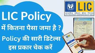 LIC Policy Check Kaise Kare | How to Check LIC Policy Status Online | LIC me kitna paisa jama hai