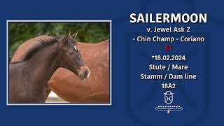 Foal Auction@Falsterbo Horse Show | Nr. 11 Sailermoon