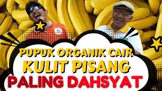 Cara mudah membuat POC KULIT PISANG || Pupuk Organik Cair #organikterbaik #pupukorganik