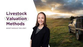 Livestock Valuation Methods in NZ - What are they and what should you use?