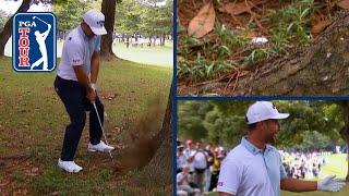 Xander Schauffele cards quadruple bogey from tree root | ZOZO CHAMPIONSHIP 2024