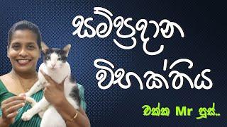 සම්ප්‍රදාන විභක්තිය | Vibhakthi  | Hari apuru sinhala miss