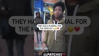 The Hood Cat Funeral is a Movie ️ #cat #hood #funeral #viralvideo