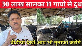 30 लाख सालका 11 गायो से दुध । How to profit hf cow dairyfarming । judal dairyfarm gujarat