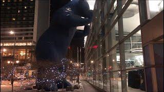 "I See What You Mean" Blue Bear Denver Nightlife Walking Tour 2024