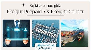 EPISODE 48 - PHÂN BIỆT FREIGHT PREPAID VS FREIGHT COLLECT | WORLDCRAFT LOGISTICS