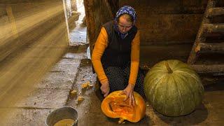 A Day in the Life of a Family in a Remote Mountain Village