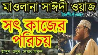 সৎ কাজের পরিচয়। Maulana Delwar Hossain Saidi Waz Video.