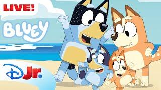  LIVE! Bluey Full Episodes | NEW Episodes Added | Keepy Uppy, Sleepytime and MORE! | @disneyjr