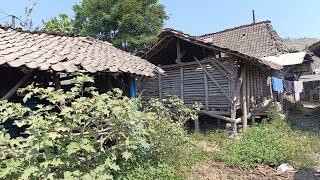 Kehidupan Suku Jawa Di Desa Terpencil Di Pedalaman HutanJawa Tengah