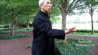 五祖拳 - 白鶴清風法  Ngo Cho Kun - White Crane  Form - Chieng Hong Wat  by Sifu Bonifacio Lim