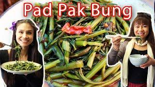 Gebratener Wasserspinat wie in Thailand ~ Pad Pak Bung ผัดผักบุ้ง Rezept  mit 3 Tipps!