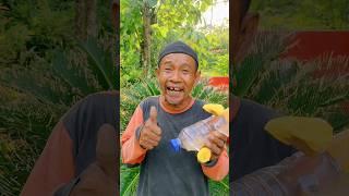 MOBIL MOBILAN TENAGA BALON #art #craft #diy #like #video #viral #food #kreatif #shorts