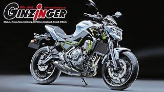 Kawasaki Z650 MY17 : Zweirad Ginzinger :