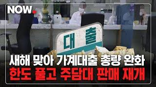 새해 맞아 꽉막힌 가계대출 다시 풀린다지만…총량관리 고삐 완화, 결국 '착시효과?' #대출 #가계부채 #경제뉴스