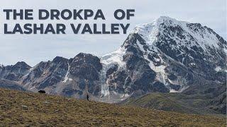 The Drokpa of Lashar Valley | Sikkim