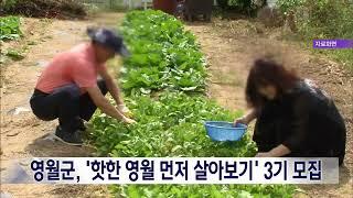 2023. 6. 7 [원주MBC] 영월군, '핫한 영월 먼저 살아보기' 3기 모집