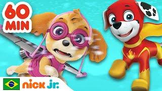 Patrulha Canina | 1 HORA dos resgates mais corajosos da Patrulha Canina! | Nick Jr. em Português