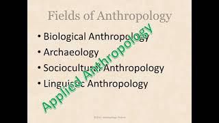 What is Anthropology 2012