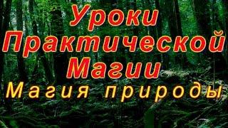 Уроки Практической Магии. Магия природы. Магия друидов. Получение энергии и магической силы.