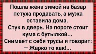 Как Муж Дома с Кумой Отдыхал! Сборник Свежих Анекдотов! Юмор!