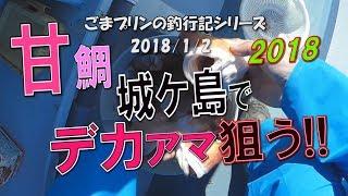 【相模湾アマダイ】城ケ島でデカアマ狙う!!(2018/01/02)