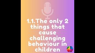 THE ONLY 2 THINGS THAT CAUSE CHALLENGING BEHAVIOUR // PODCAST EP.1