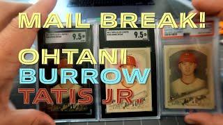 Please Don't Tell My Wife - Mail Break 01 | Ohtani, Burrow, Tatis Jr., Snow White?!