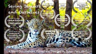 Dr. Susan Perz   speaks about her award-winning short documentary, Saving Jaguars, Saving Ourselves