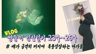 VLOG | 쌍둥이 임신 23-25주차 | 태교일기 | 식욕왕성 임신중기 | 반려견과 임신생활 | 고령산모 관절통증