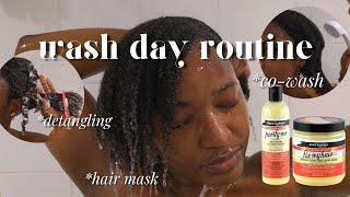 My Quick 4c/4b Wash Day Routine w/ Aunt Jackie's | Co-wash & Detangling + Review