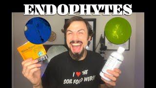 Endophytes - the Real Story with Matt Powers