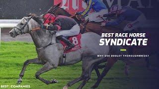 Dooley Thoroughbreds | Best Horse Racing Syndicate | Buy A Share In A Racehorse Gift