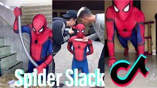 Funny Tiktok videos of Spider Slack. #1