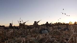 2020 Early Season Indiana Goose Hunt