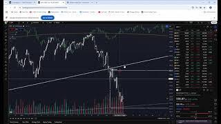 GME SQUEEZE Theory SPY CRASH & CHINA Short COVERING?