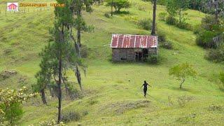 La casa del MILLON DE AVISPAS y el peligroso camino de Constanza a Padre las casas