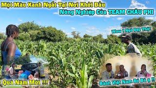 Lindo || Một Màu Xanh Ngắt Tại Nơi Khởi Đầu Nông Nghiệp Của Anh Em TEAM CHÂU PHI !!!