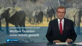 1 Million Tier-/Pflanzenarten bedroht - 28.08.2019