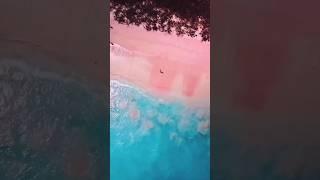  Wanna see Pink Beach in Bali  #shorts #youtubeshorts #shortsvideo