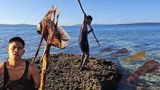 Hari Ke 15 di Pulau Terpencil BANYAK CUMI BERKELIARAN DI DEPAN GUBUK KAKEK