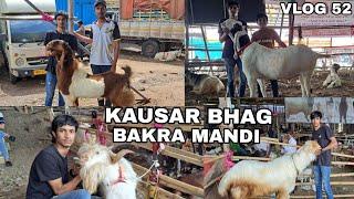 KAUSAR BAUGH BAKRA MANDI VLOG || VLOG 52 || MD ANAs VLOGs