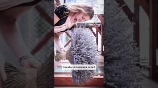 Лавандовый букет 80 см в диаметре | #лаванда #большойбукет #flowers #lavanderias