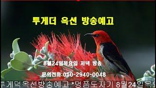 #투게더 옥션8월24일목요일저녁 경매 방송예고