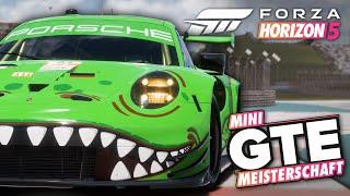 Wenn die Rennwagen schon einmal da sind!  - Mini GTE Meisterschaft - FORZA HORIZON 5 MULTIPLAYER