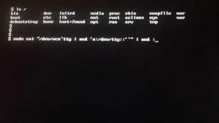 How to Take a Screenshot In the Linux TTY Without an X Server