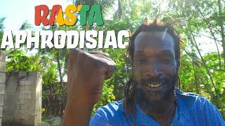 Rasta Anthony's Aphrodisiac & ITAL SIP