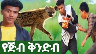 አስፈሪ ፕራንክ ቁ 3#tiktok#comedy#ethiopia#funny#new#ebstv#arttv#prank#wholeness#donkey